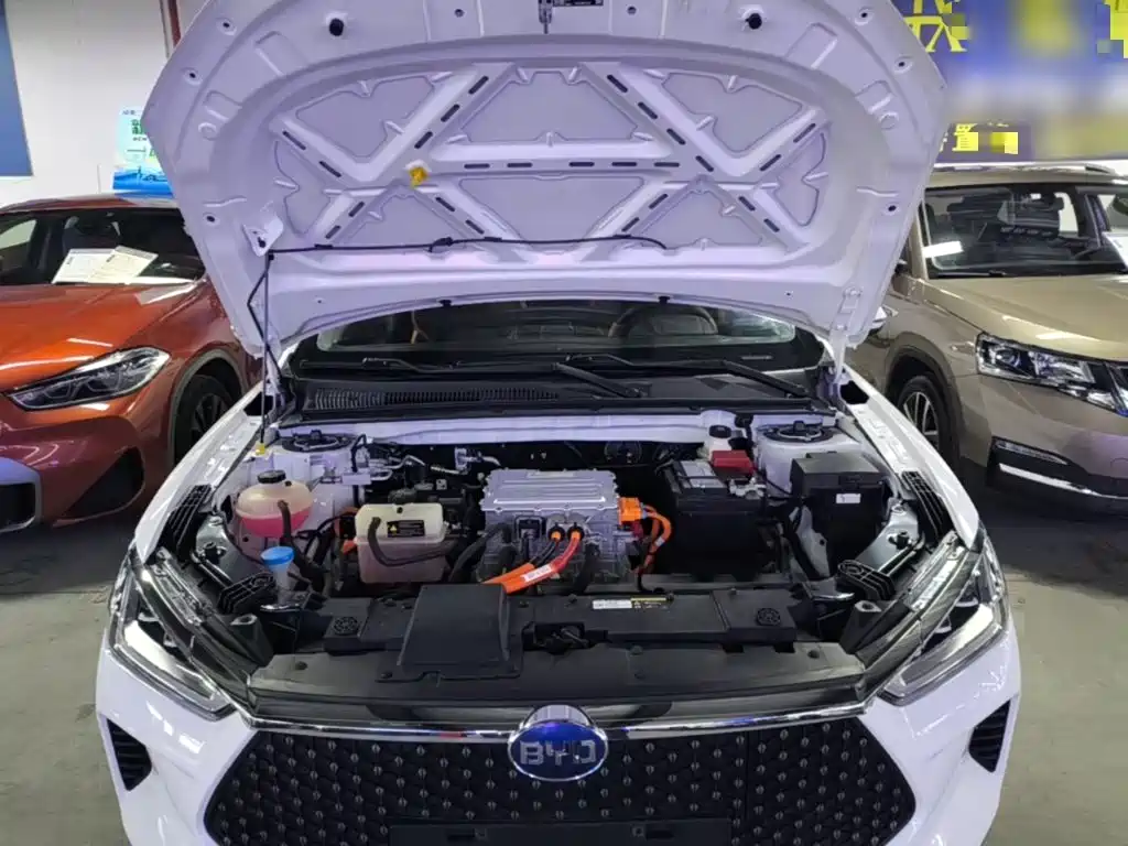 BYD e2 — миниатюра 20