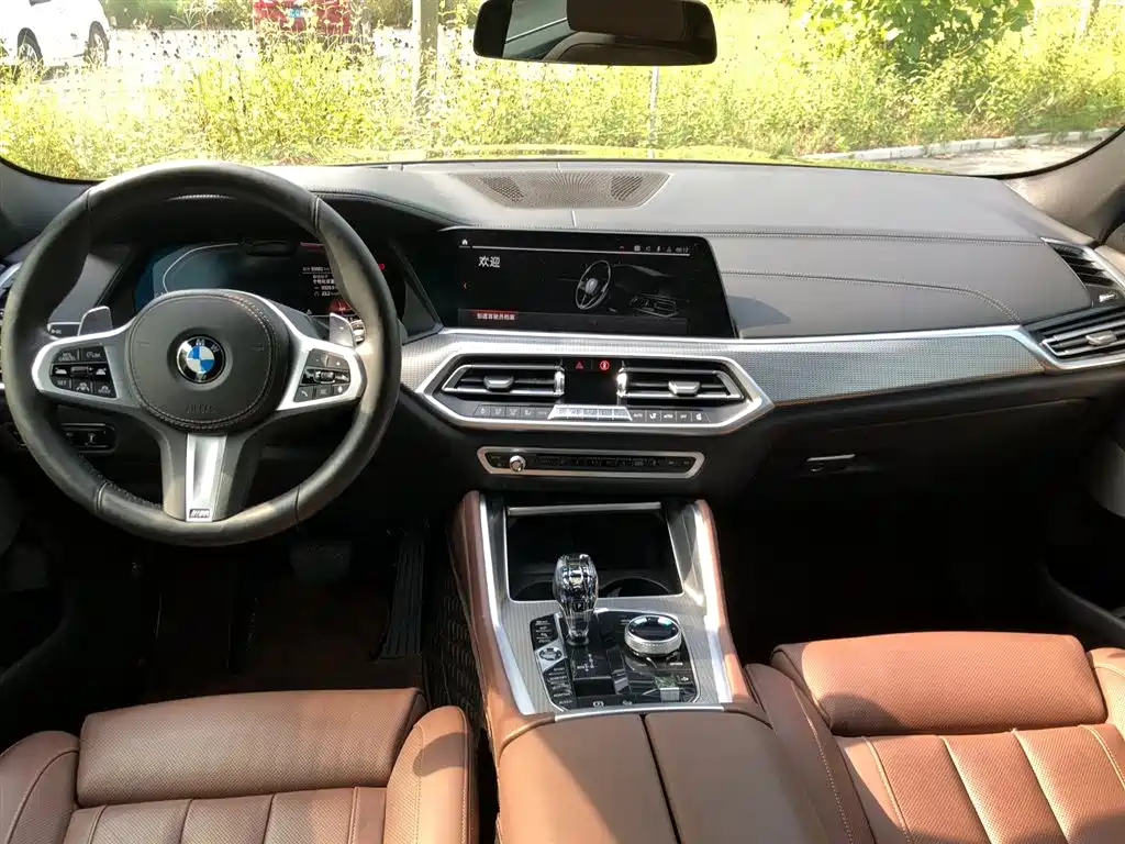 BMW X6 — миниатюра 8