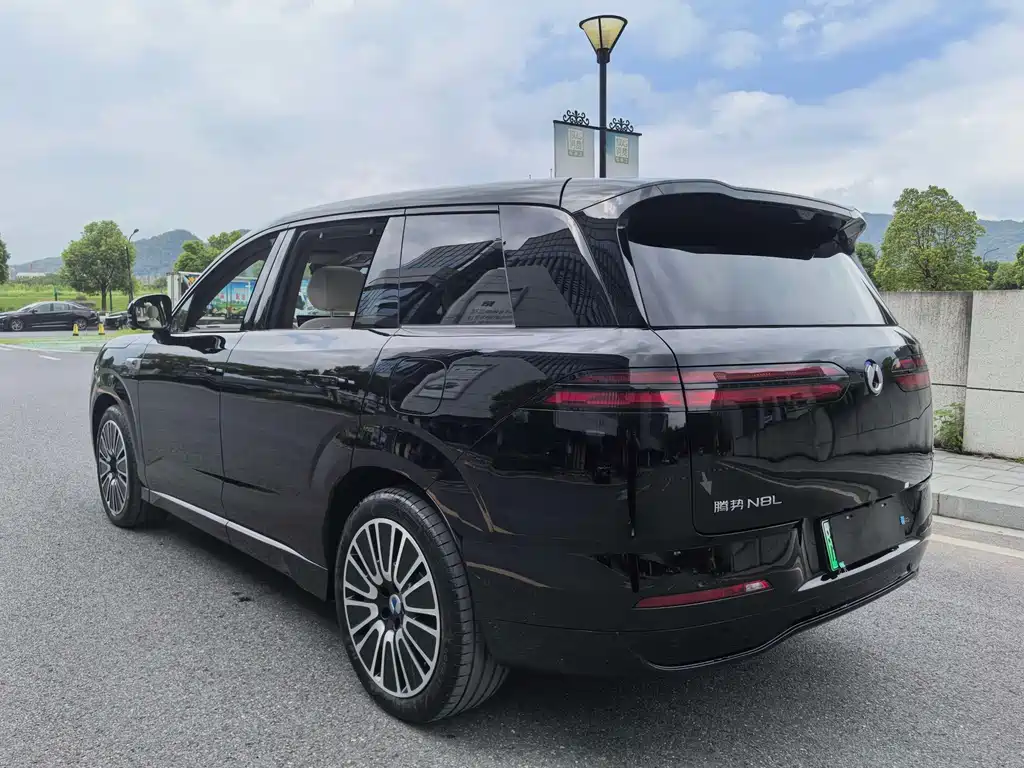 Denza Denza N8L — миниатюра 8