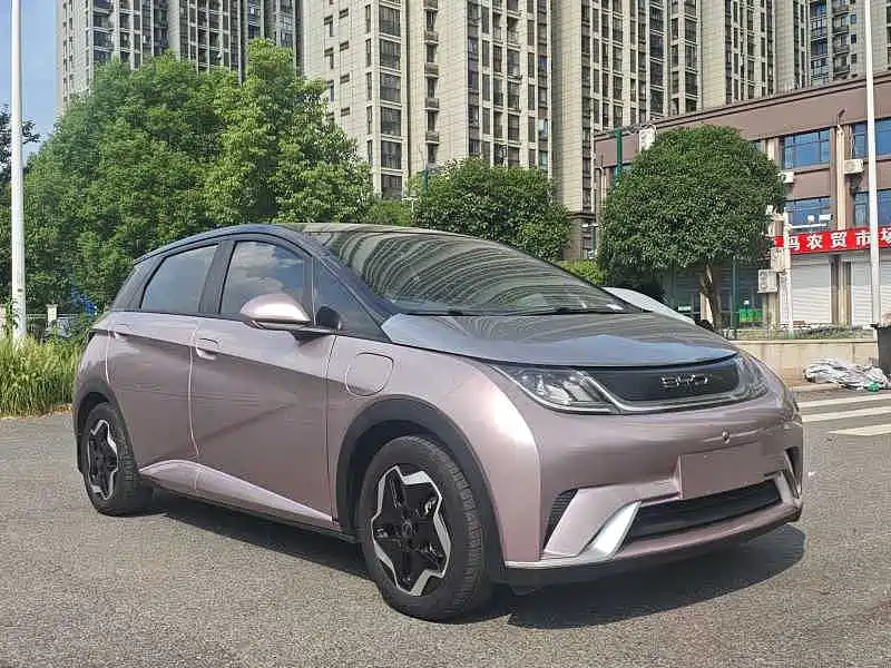BYD Dolphin — миниатюра 3