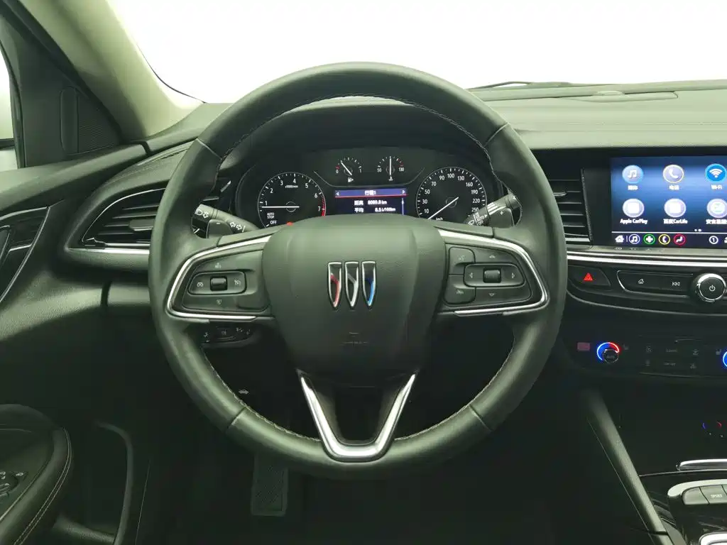 Buick Regal — миниатюра 11