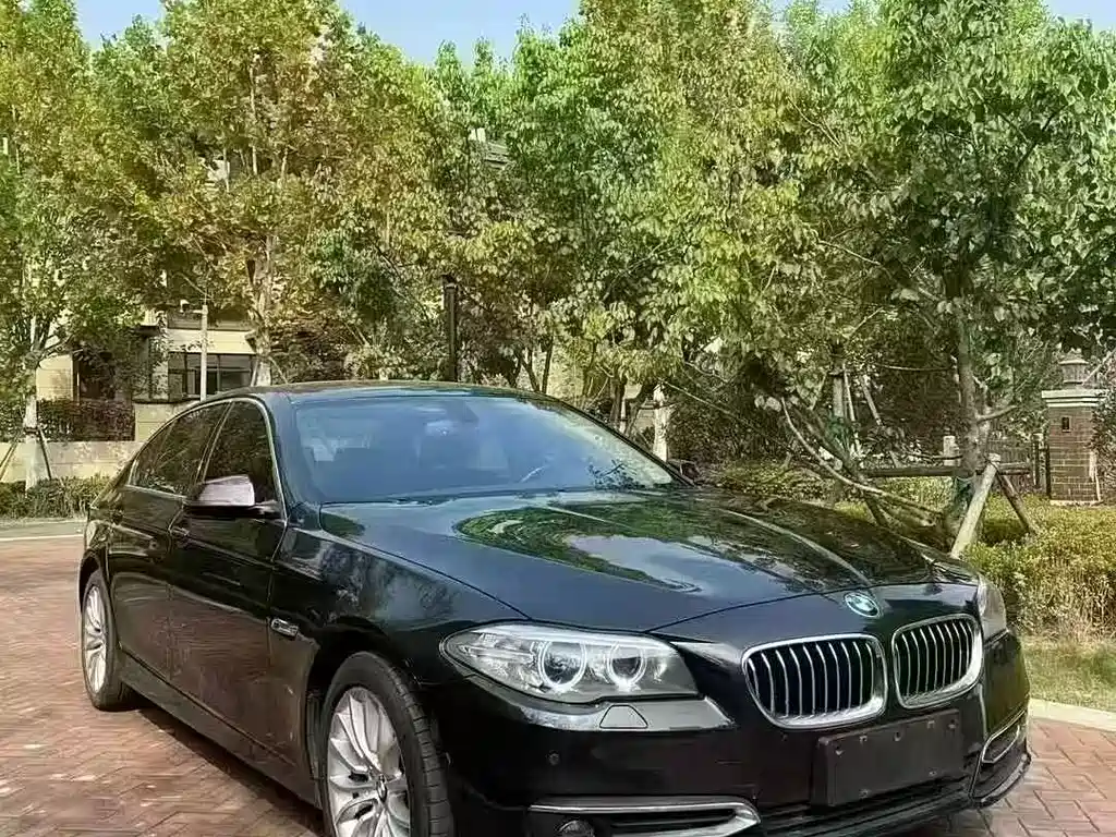 BMW 5 Series 5 2013 525Li Luxury