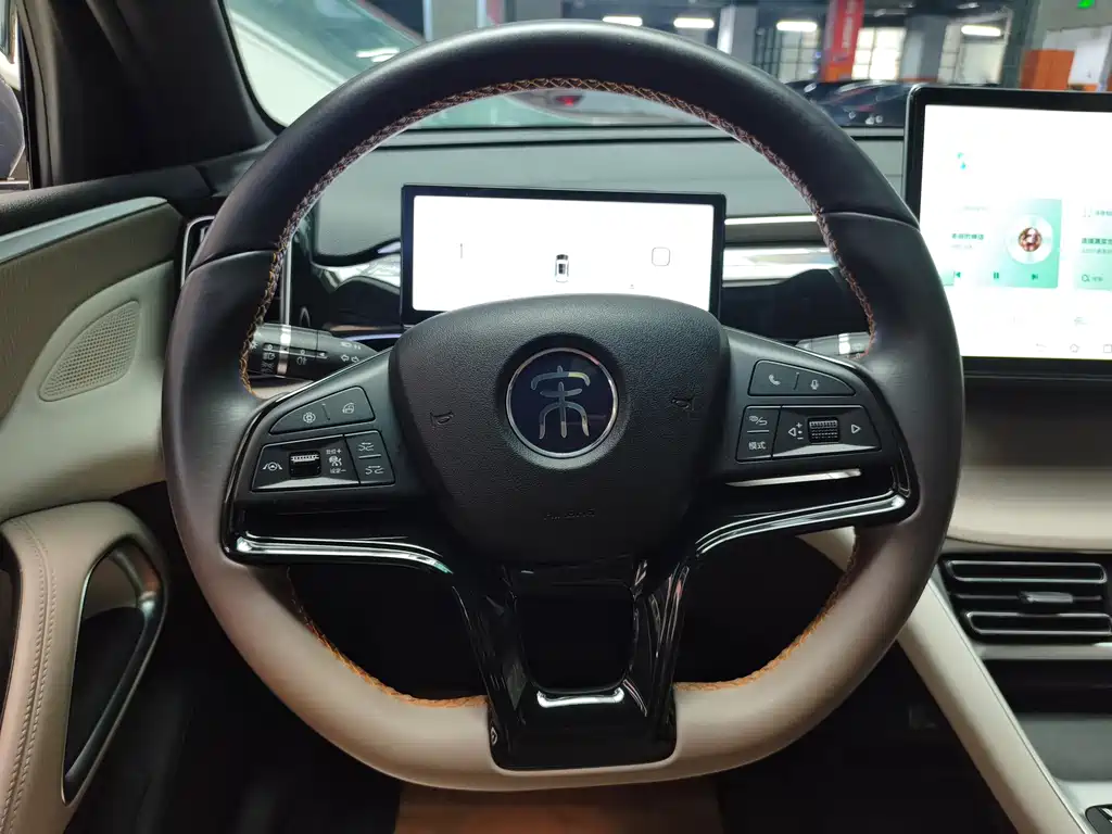 BYD Pro New Energy — миниатюра 13