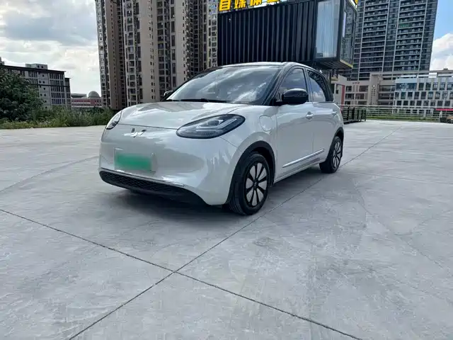 2024 Wuling Motors Binguo