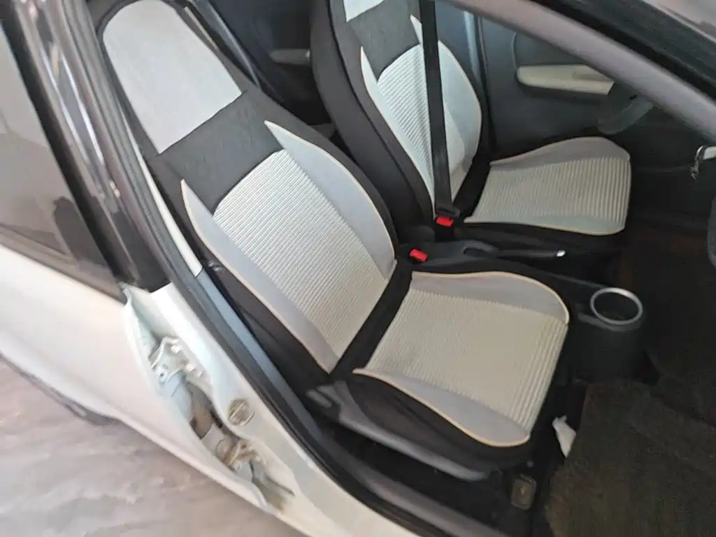 FERRAL EV — миниатюра 25