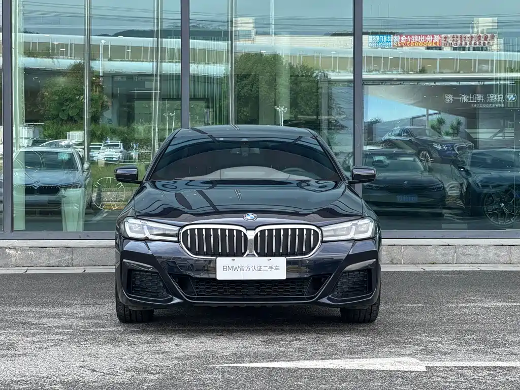 BMW 5 Series — миниатюра 8