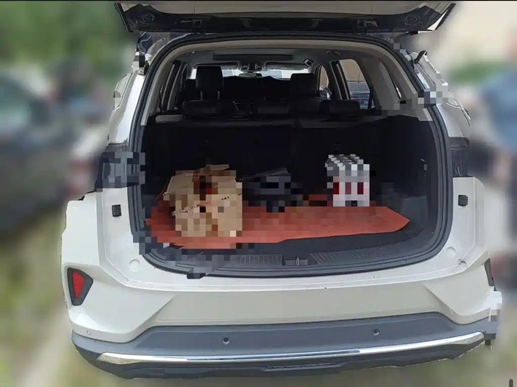 Wuling Xingchen — миниатюра 18