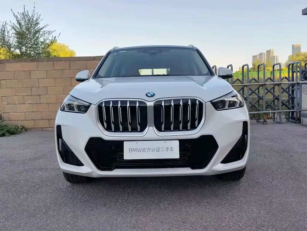BMW X1 — миниатюра 2