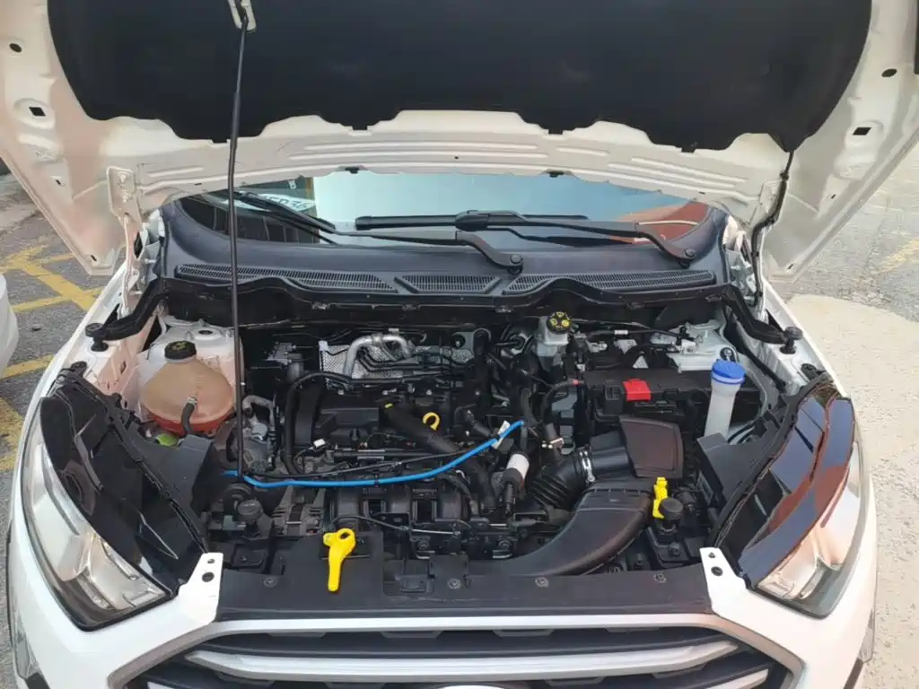 Ford Ecosport — миниатюра 20
