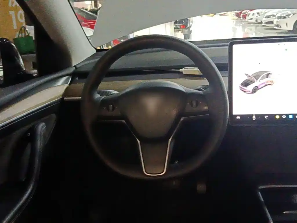 Tesla Model Y — миниатюра 11