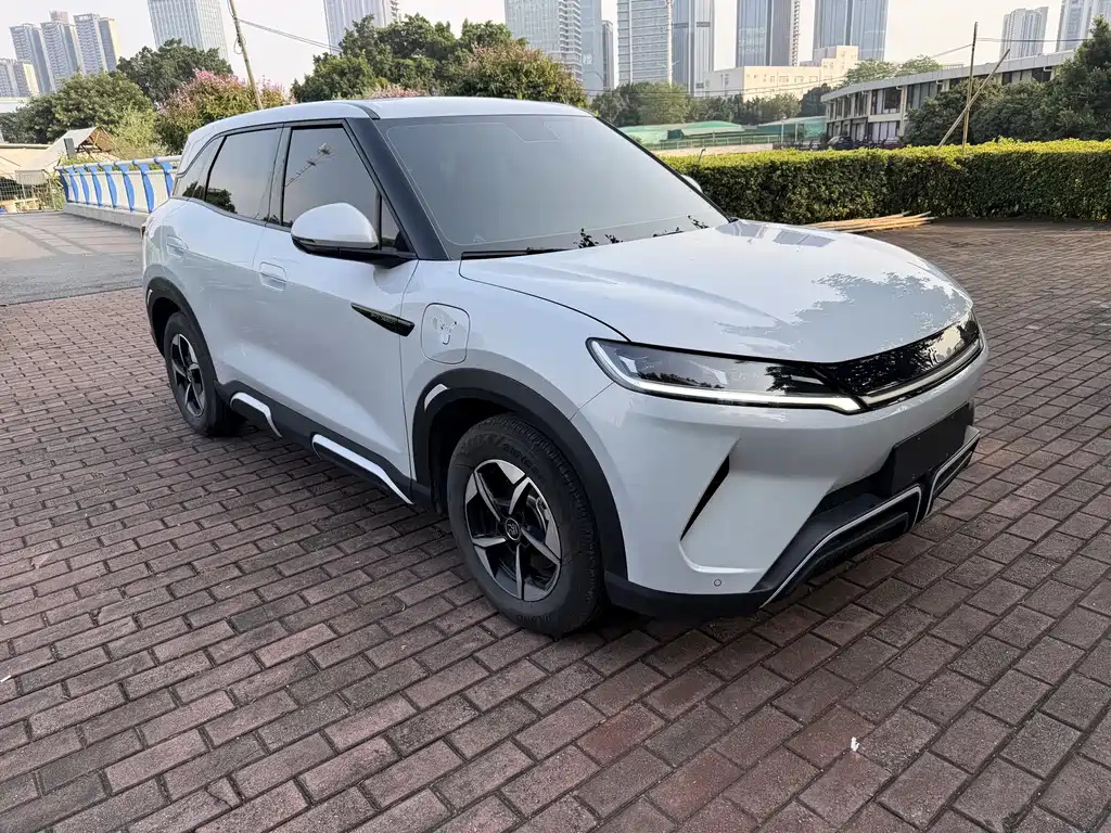 BYD Yuan Up UP 2024 401KM Lead