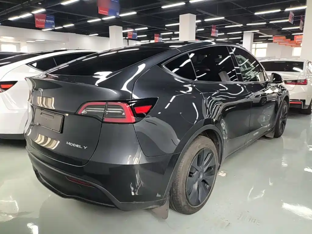 Tesla Model Y — миниатюра 7
