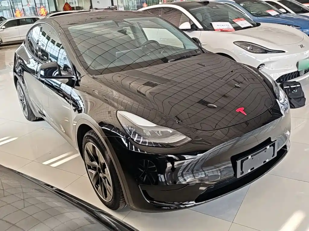 Tesla Model Y — миниатюра 4