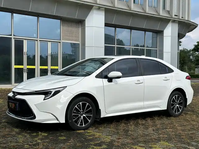 TOYOTA LEI LING 2024