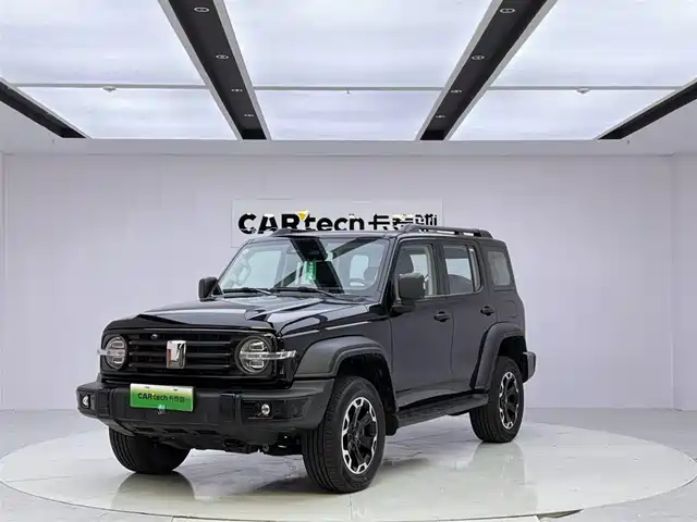 2025 TANK 300