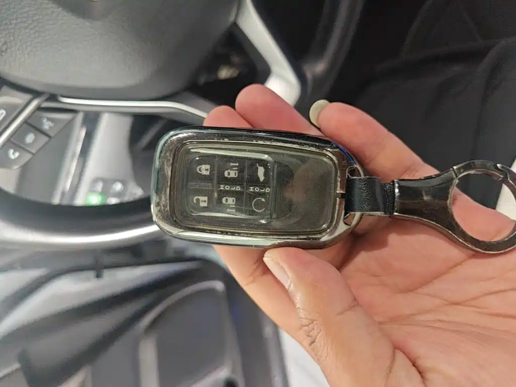 Honda Elysion — миниатюра 9