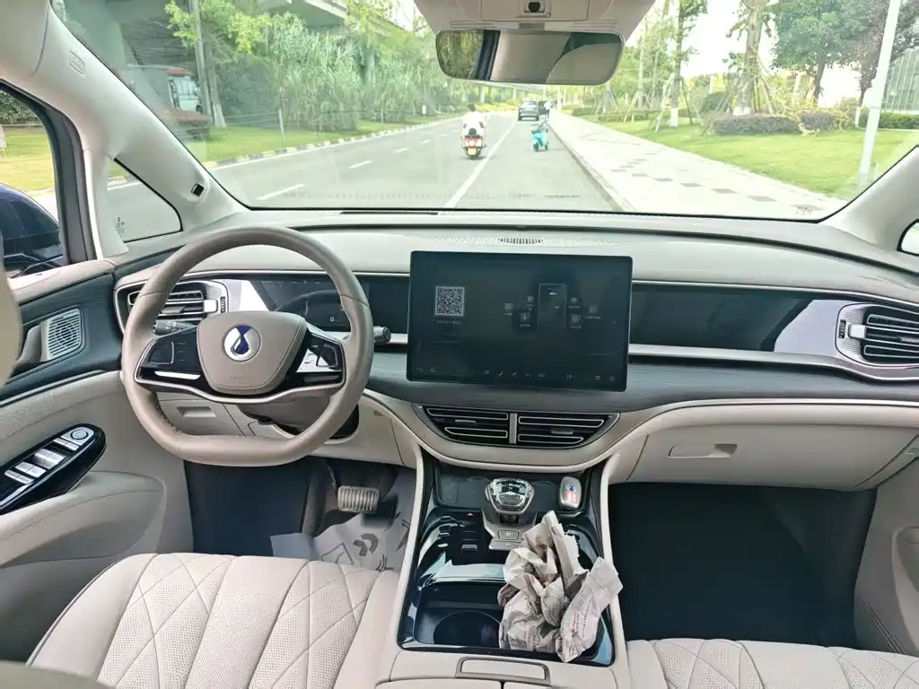 Denza Denza D9 — миниатюра 6