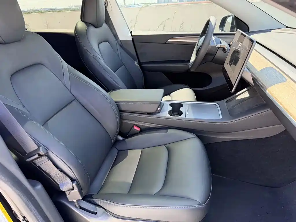 Tesla Model Y — миниатюра 8