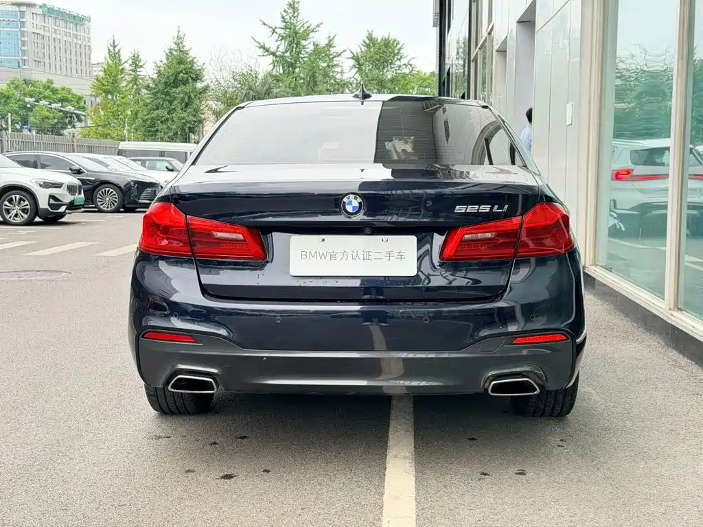 BMW 5 Series — миниатюра 4