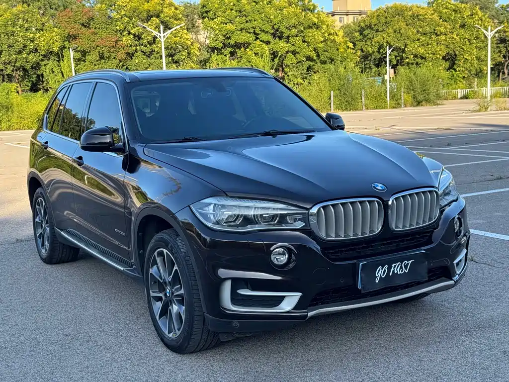 BMW X5 (Import) — миниатюра 3