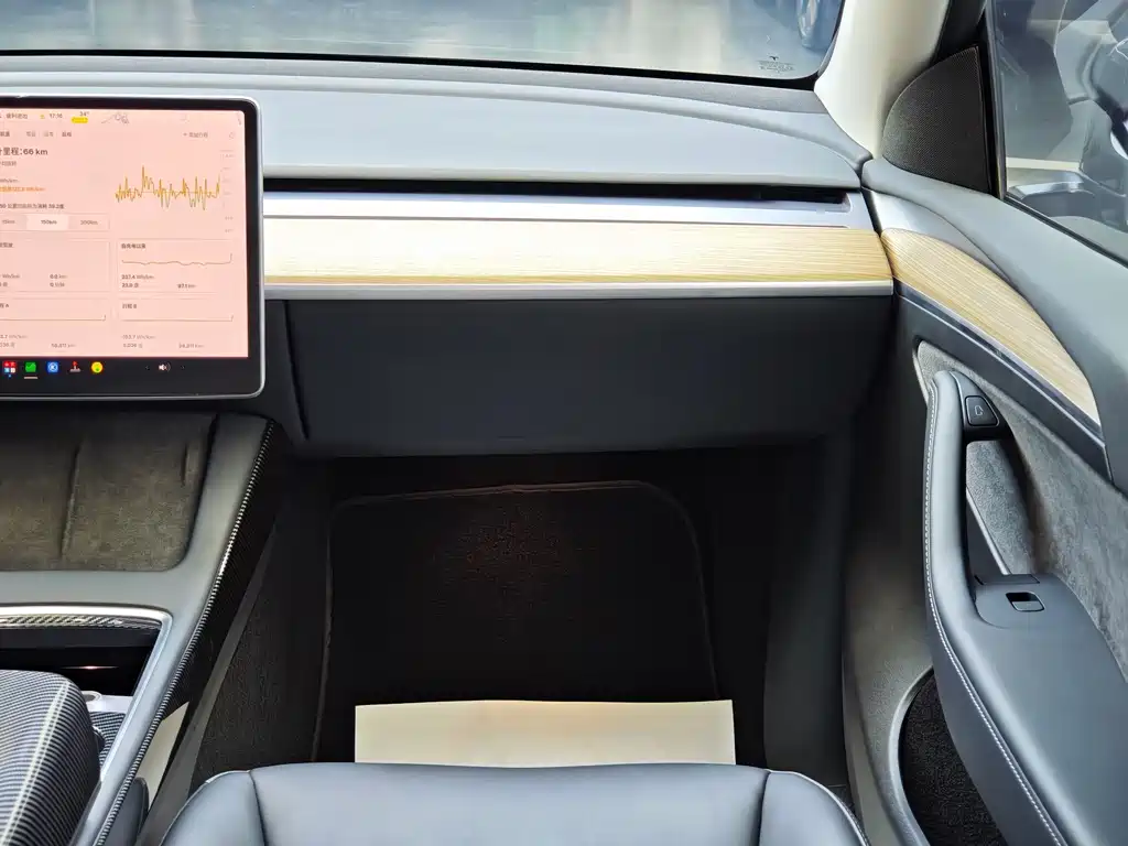 Tesla Model Y — миниатюра 14