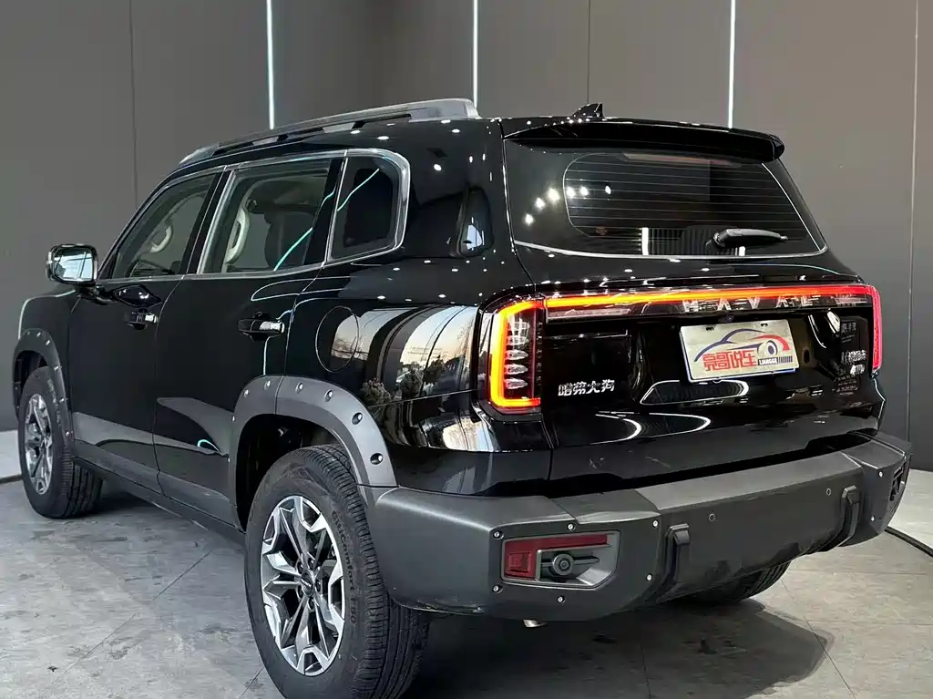 HAVAL BIG DOG