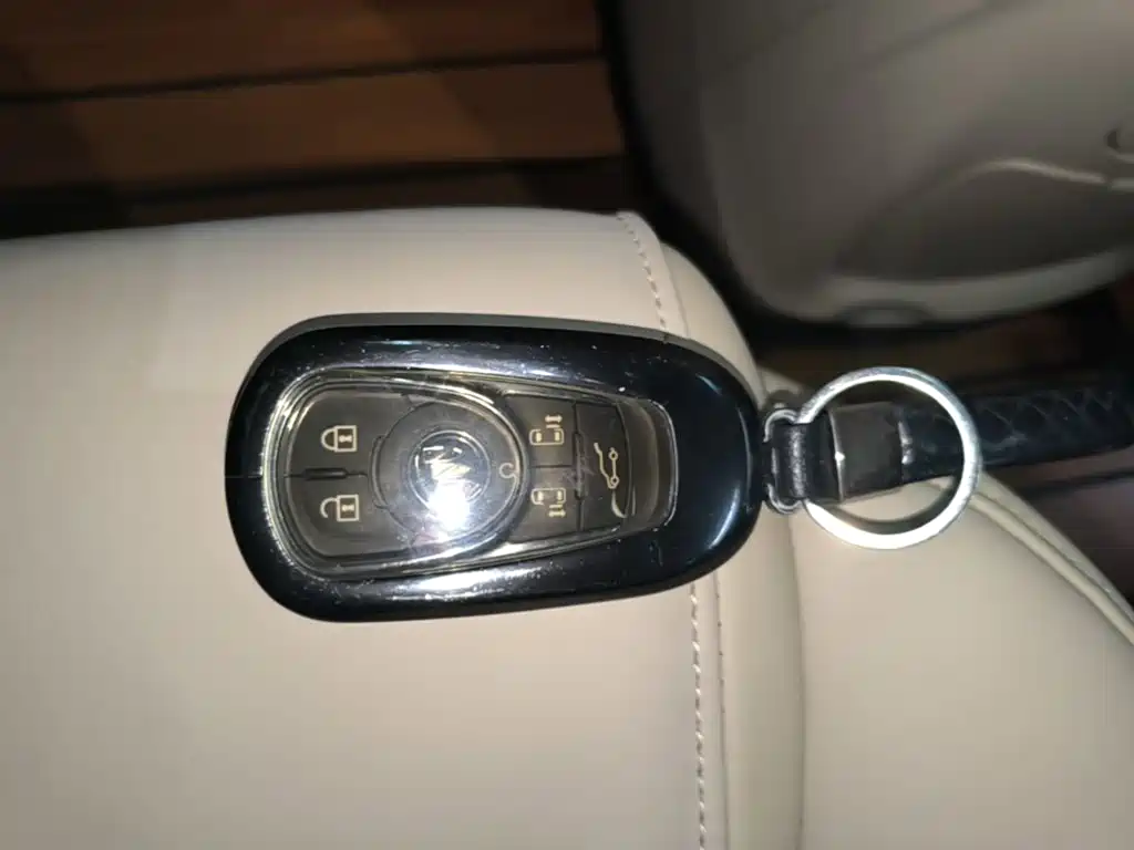 Buick GL8 — миниатюра 9