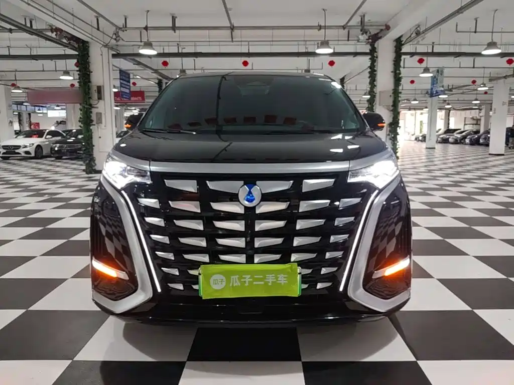 Denza Denza D9 — миниатюра 3