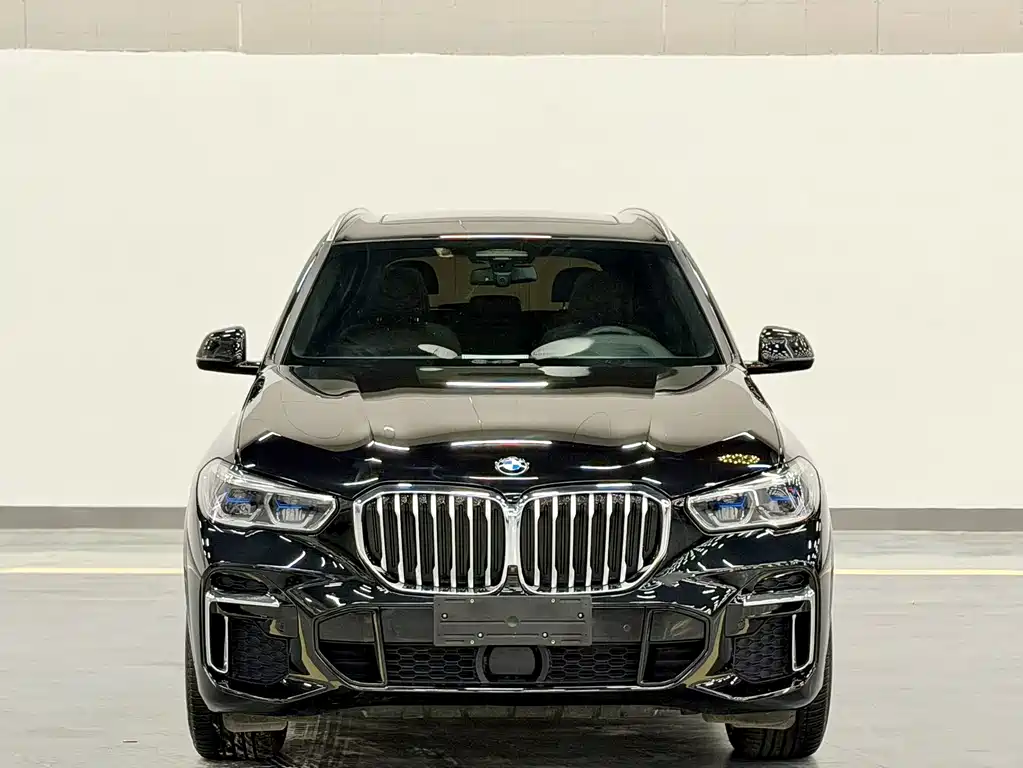 BMW X5 — миниатюра 2