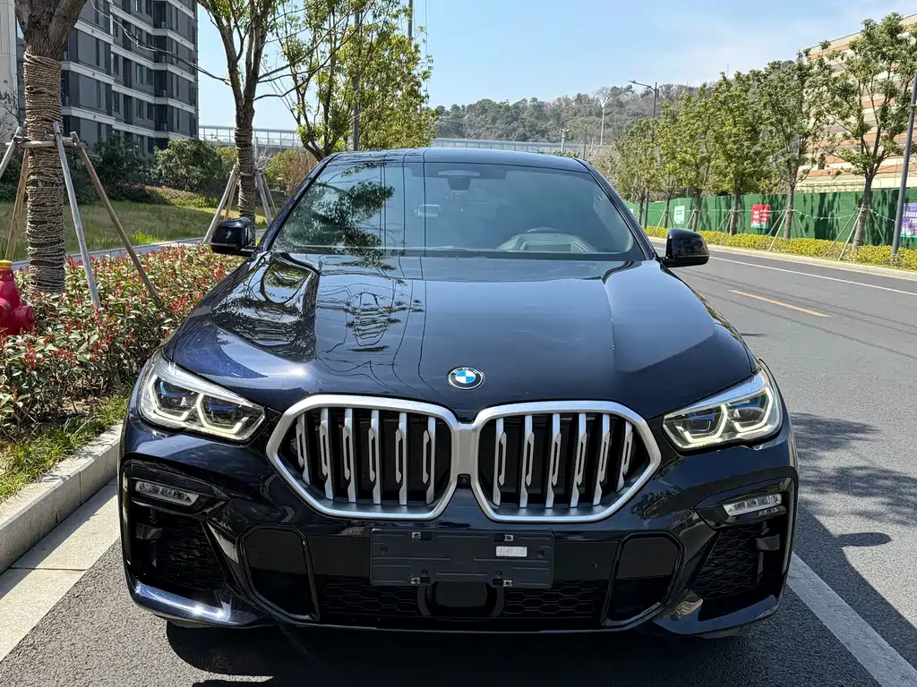 BMW X6 — миниатюра 2