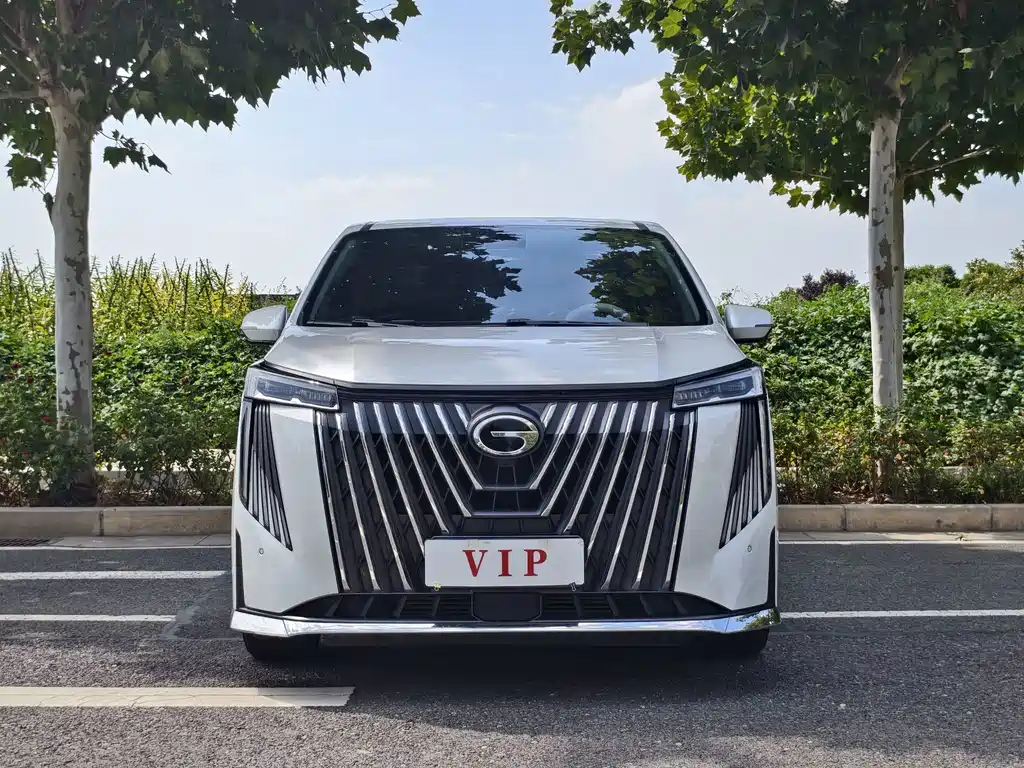 GAC Motor Trumpchi M8 — миниатюра 2