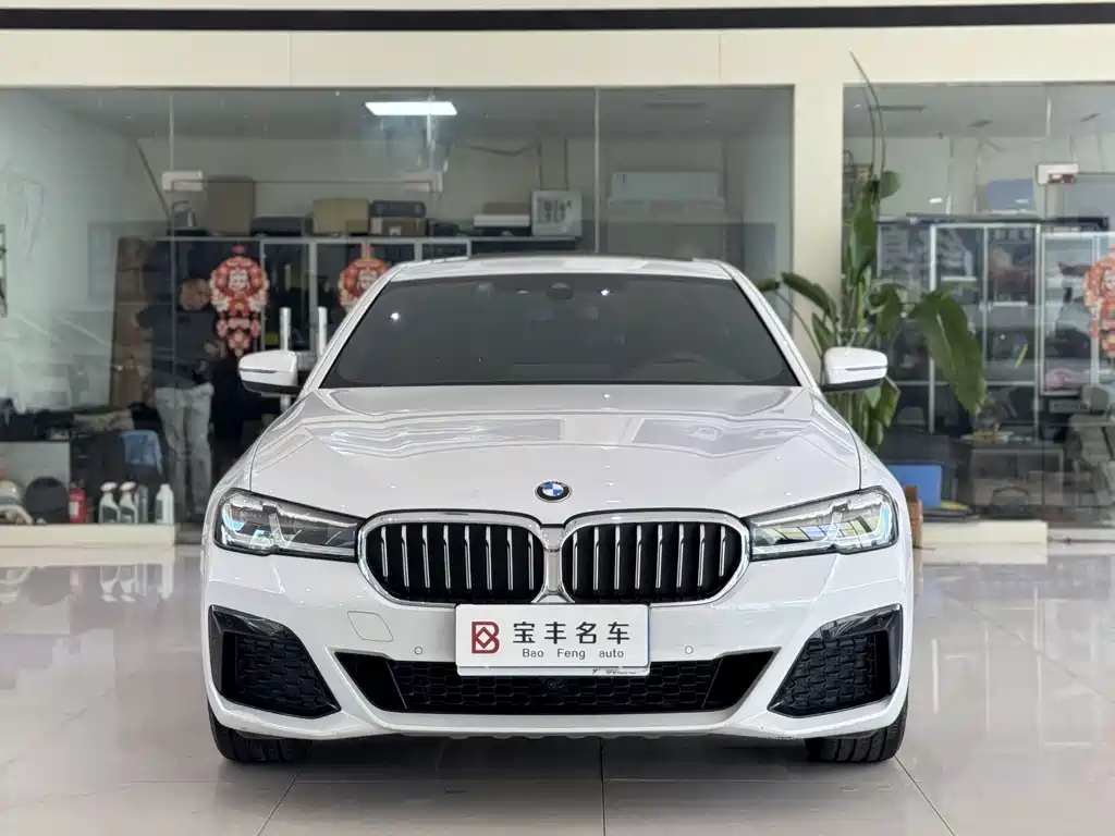 BMW 5 Series — миниатюра 2