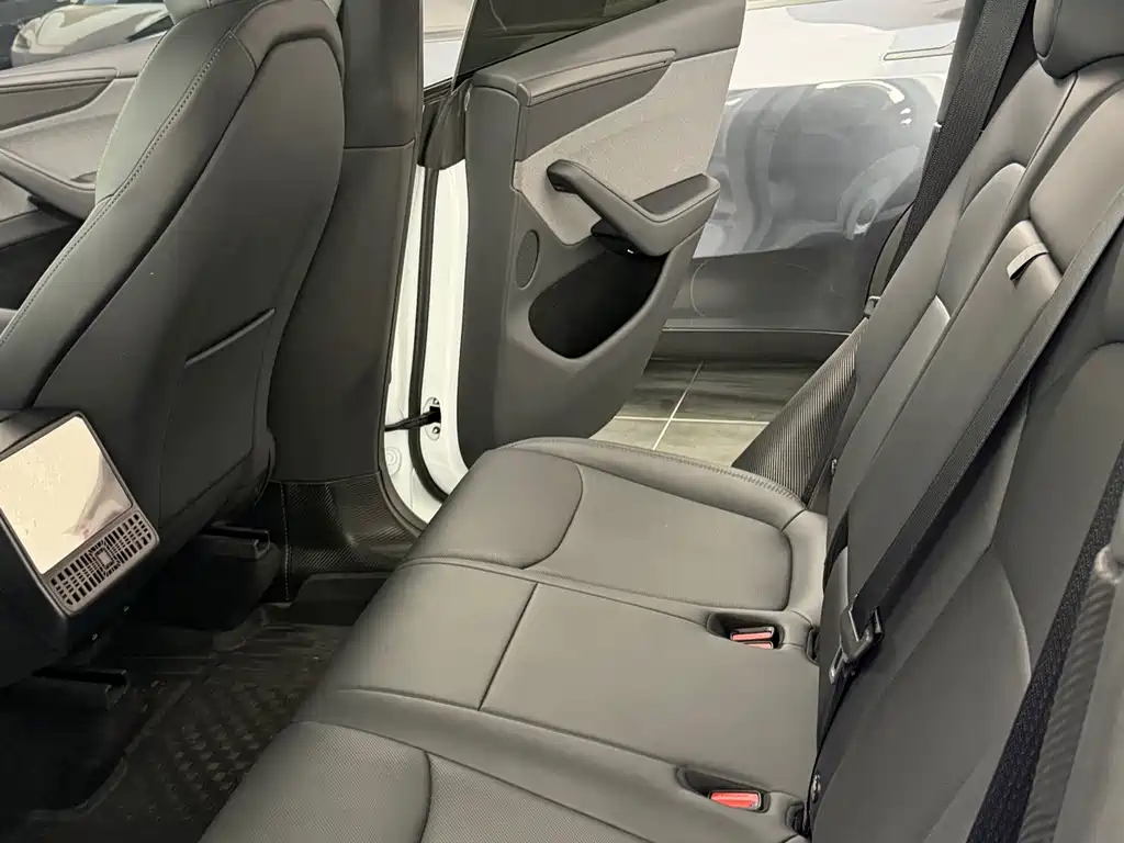 Tesla Model Y — миниатюра 8