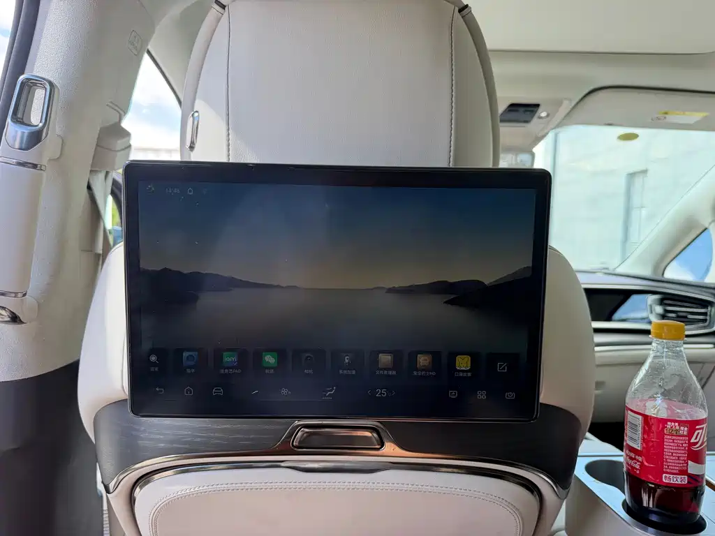 Denza Denza D9 — миниатюра 14