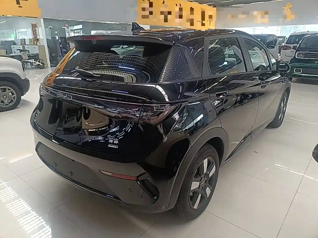 BYD Dolphin — миниатюра 7
