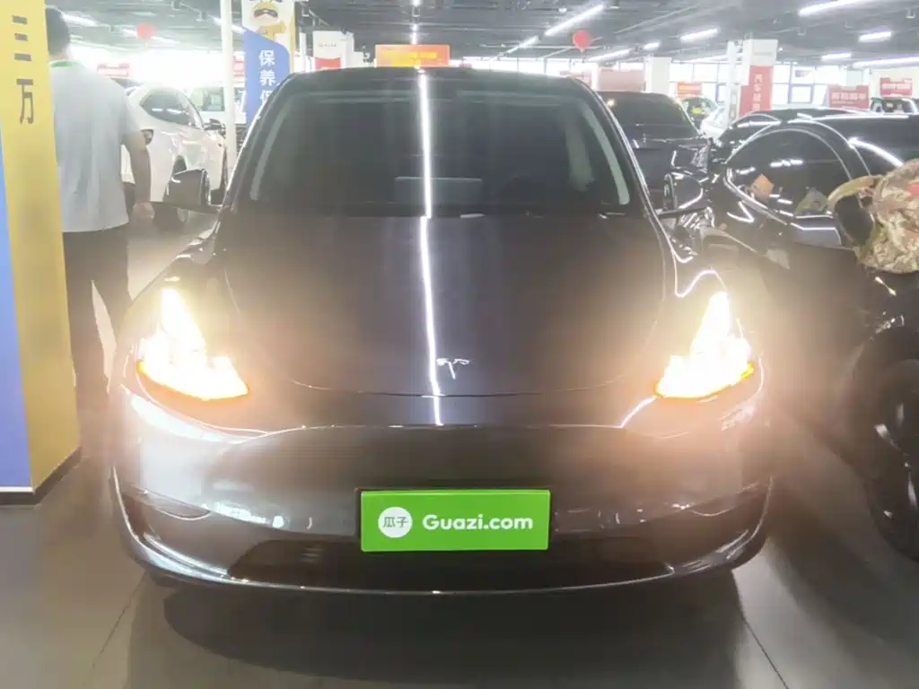 Tesla Model Y — миниатюра 3