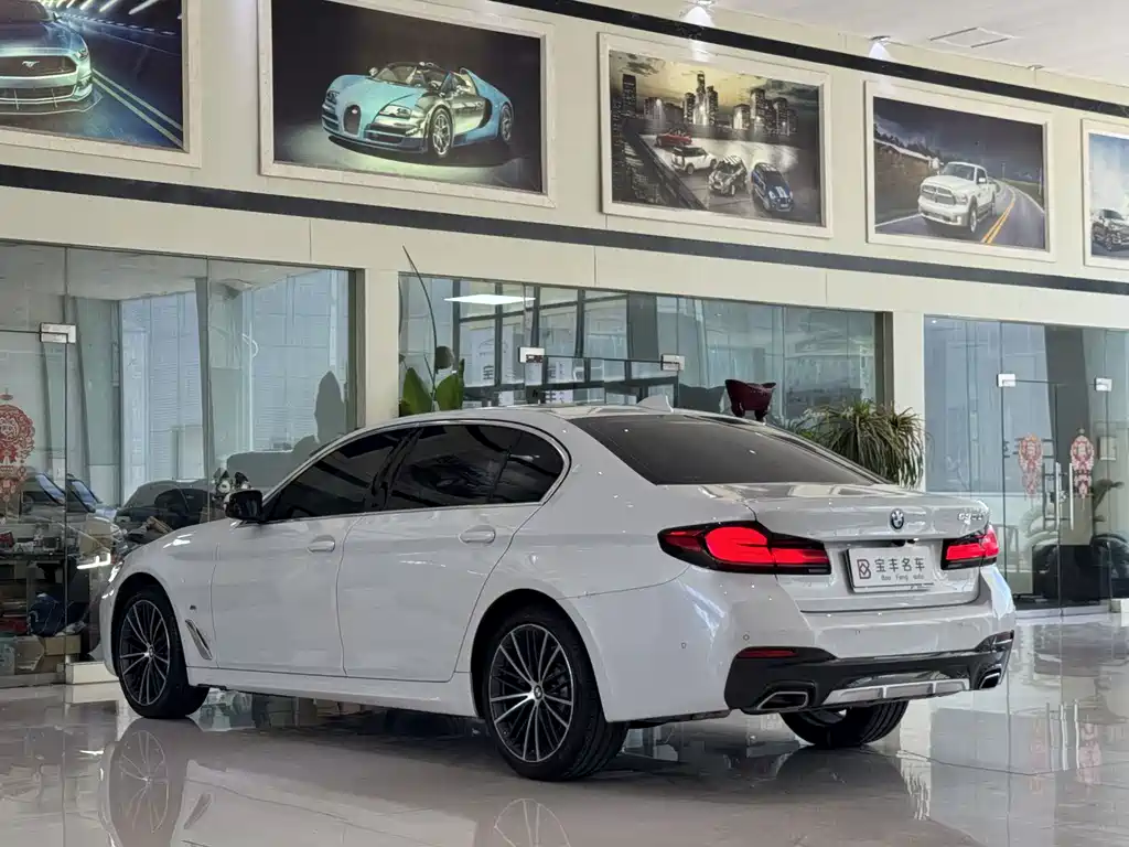 BMW 5 Series — миниатюра 4