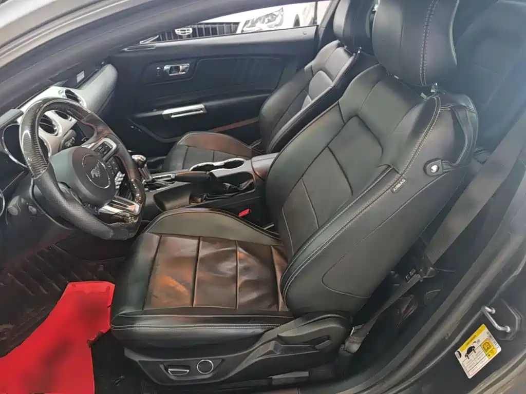 Ford Mustang — миниатюра 15