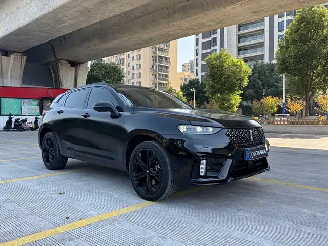 WEI PAI WEI BRAND VV7 2020