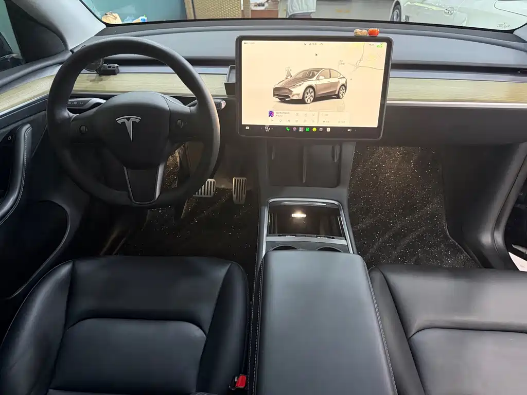 Tesla Model Y — миниатюра 5