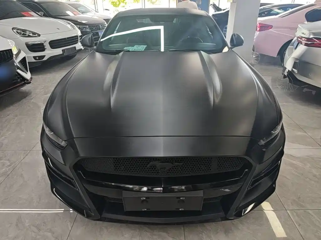 Ford Mustang — миниатюра 3