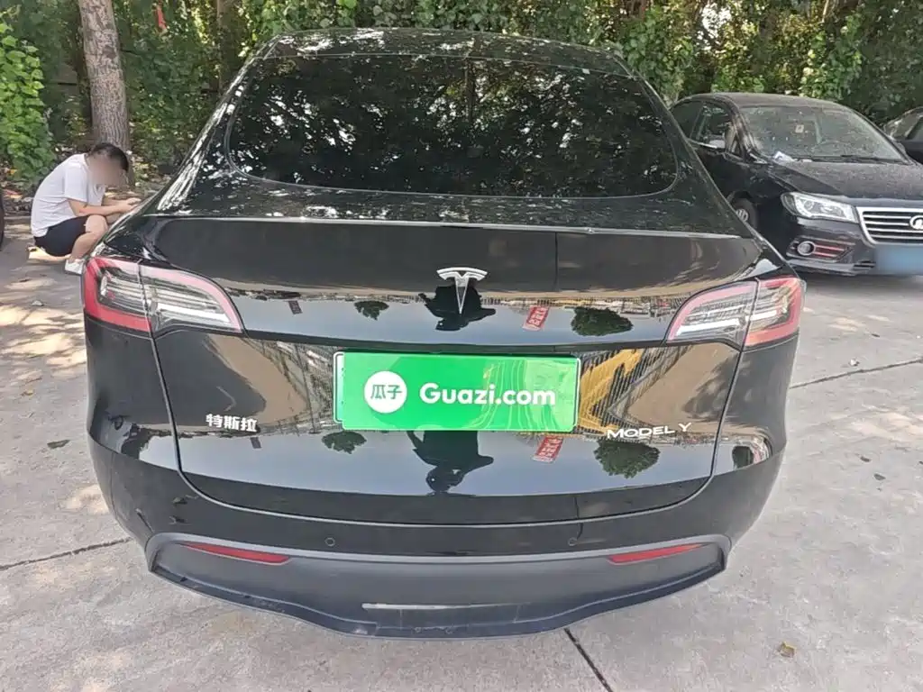 Tesla Model Y — миниатюра 6