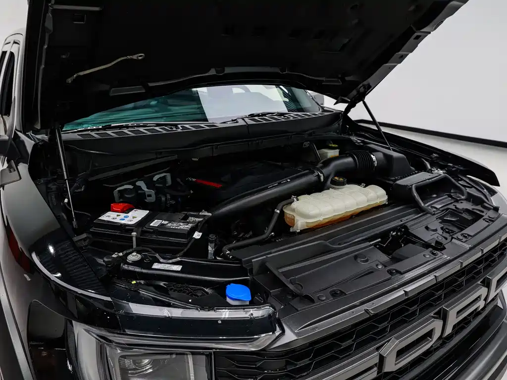 Ford F-150 Raptor — миниатюра 22
