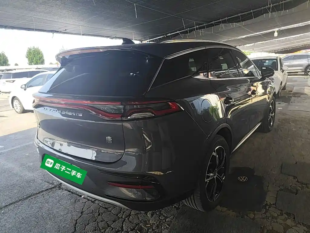 BYD Tang New Energy — миниатюра 7