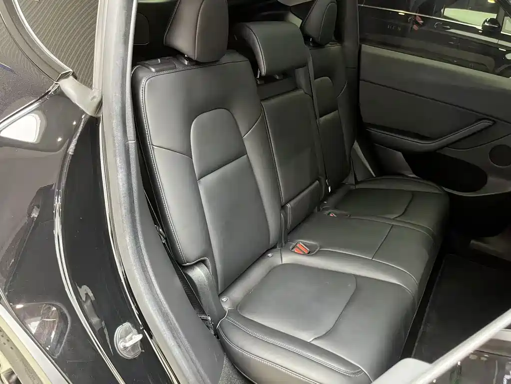 Tesla Model Y — миниатюра 10
