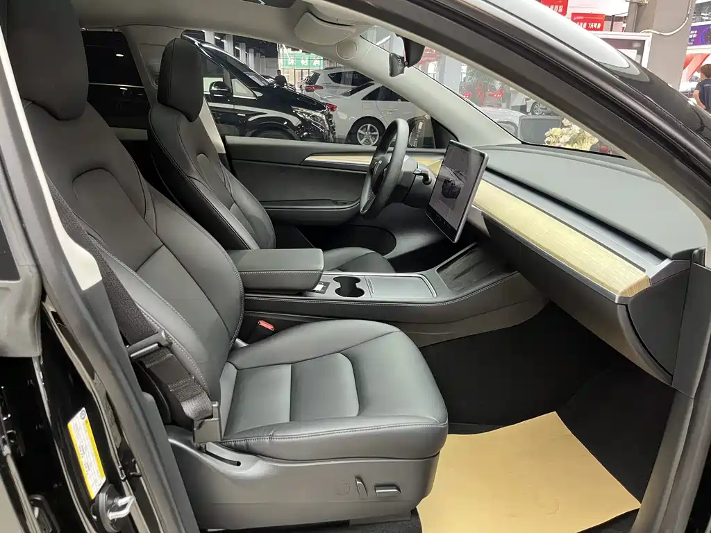 Tesla Model Y — миниатюра 6