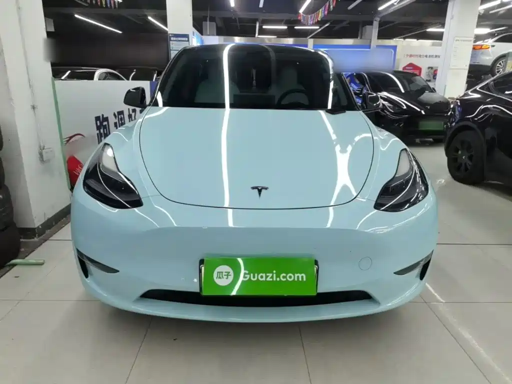 Tesla Model Y — миниатюра 3