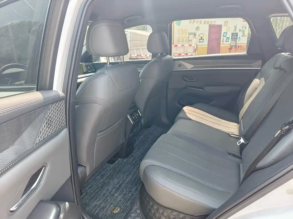 BYD Pro New Energy — миниатюра 7
