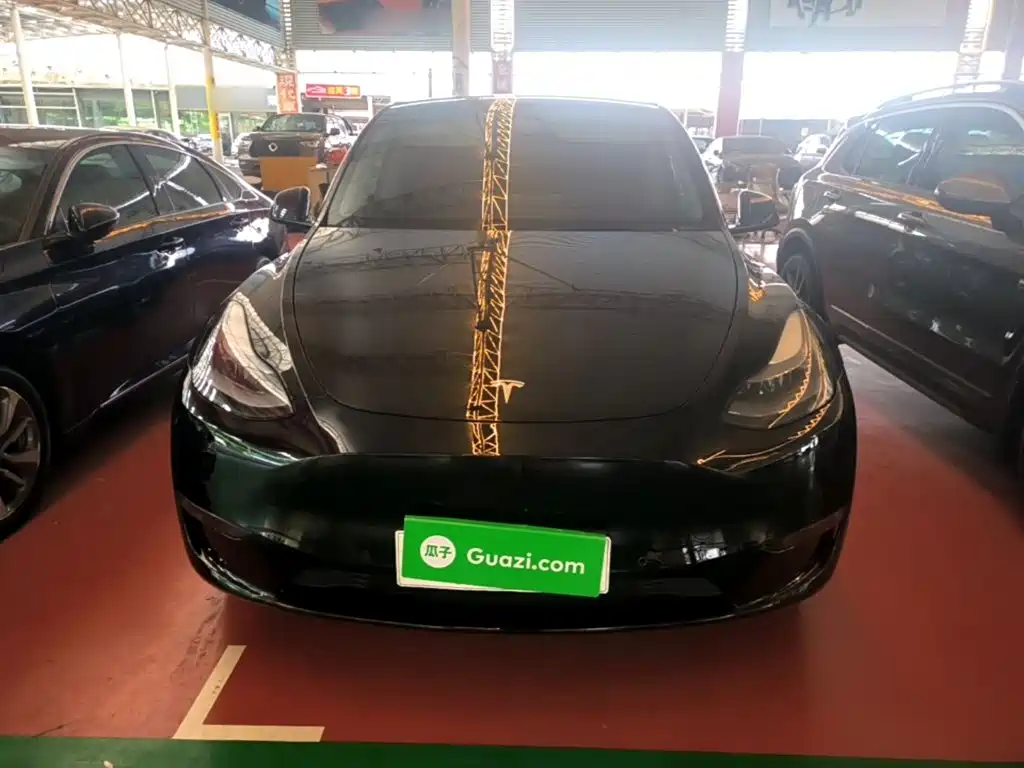 Tesla Model Y — миниатюра 3