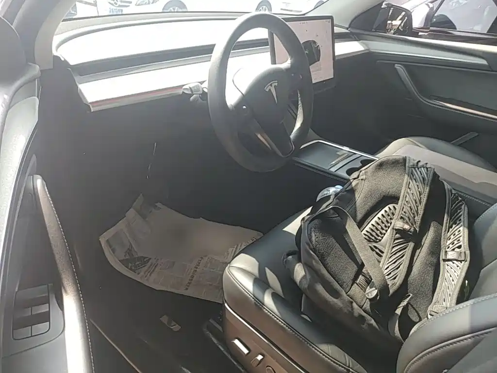 Tesla Model Y — миниатюра 16